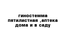 гиностемма пятилистная ,аптека дома и в саду